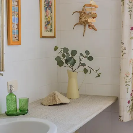 Apartment Casa